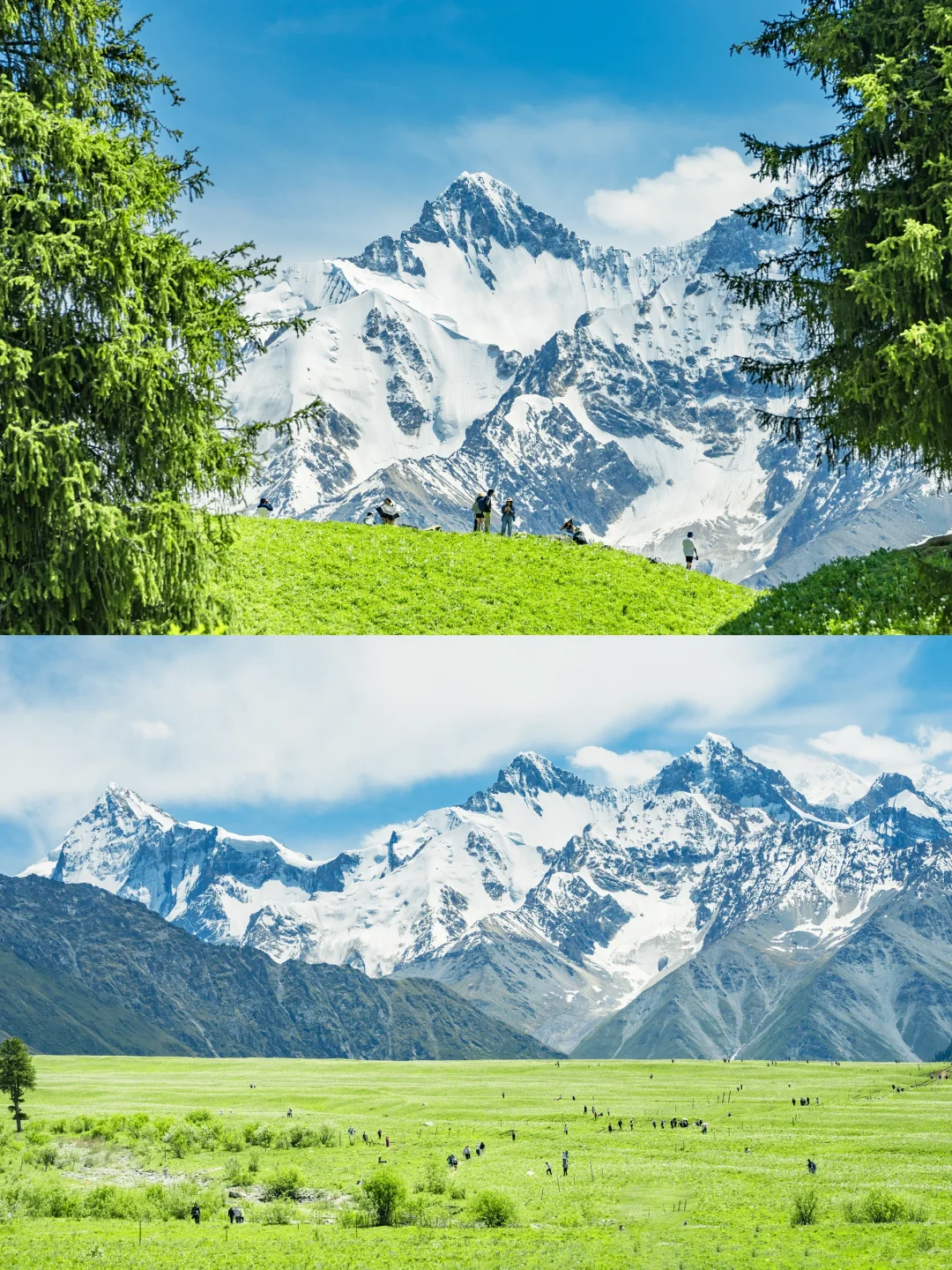 很多人喜欢的新疆组图🍃详细旅行攻略来了