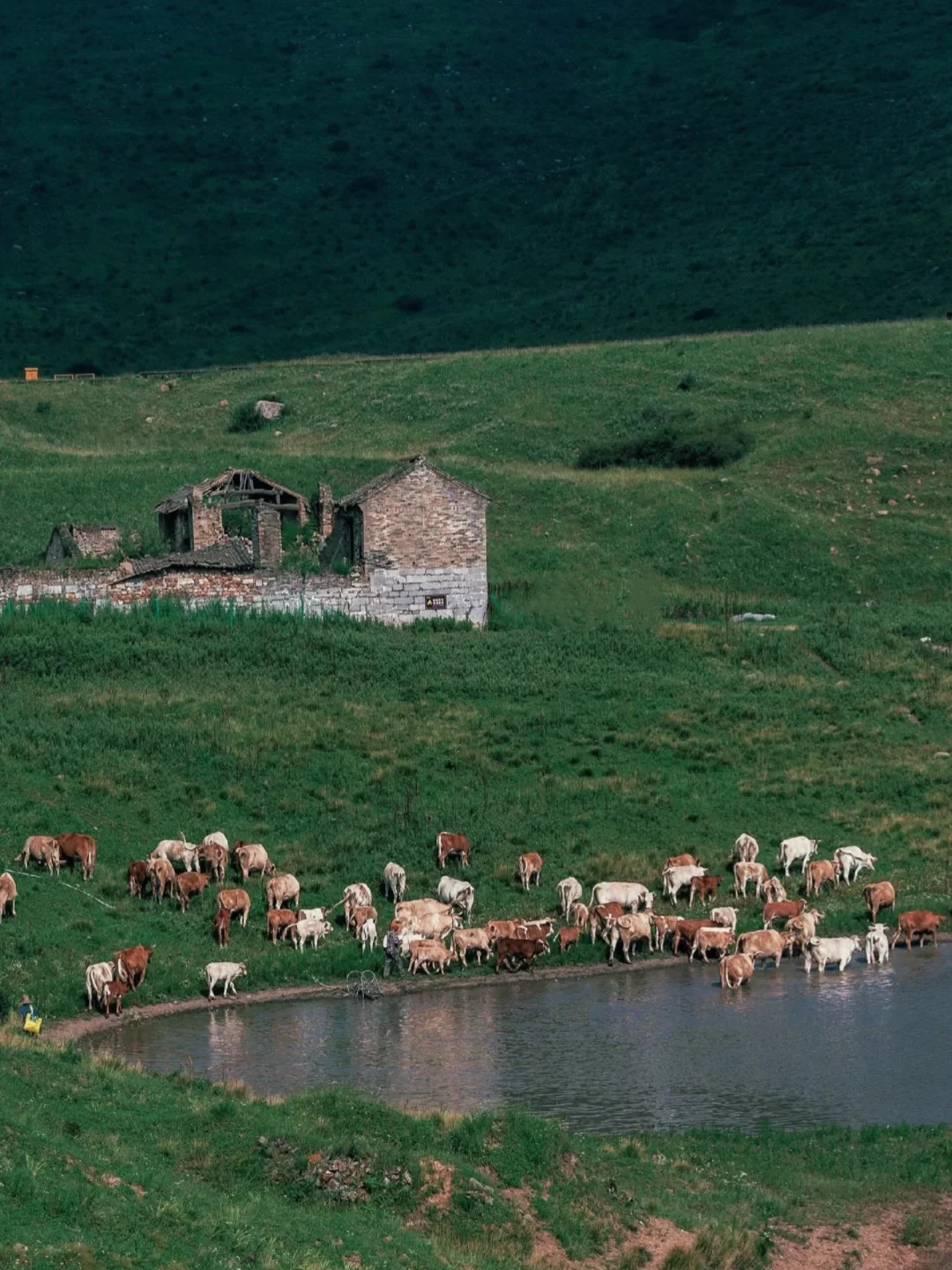 夏天的山西，是一个巨大的空调房