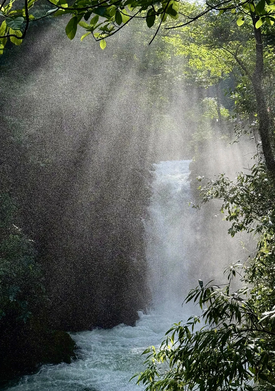 荔波小七孔live🍃人间绿宝石名不虚传