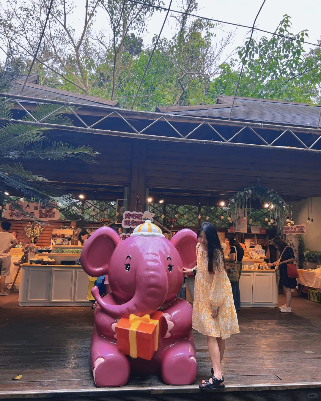 🐘西双版纳野象谷 | 看这一篇就够啦