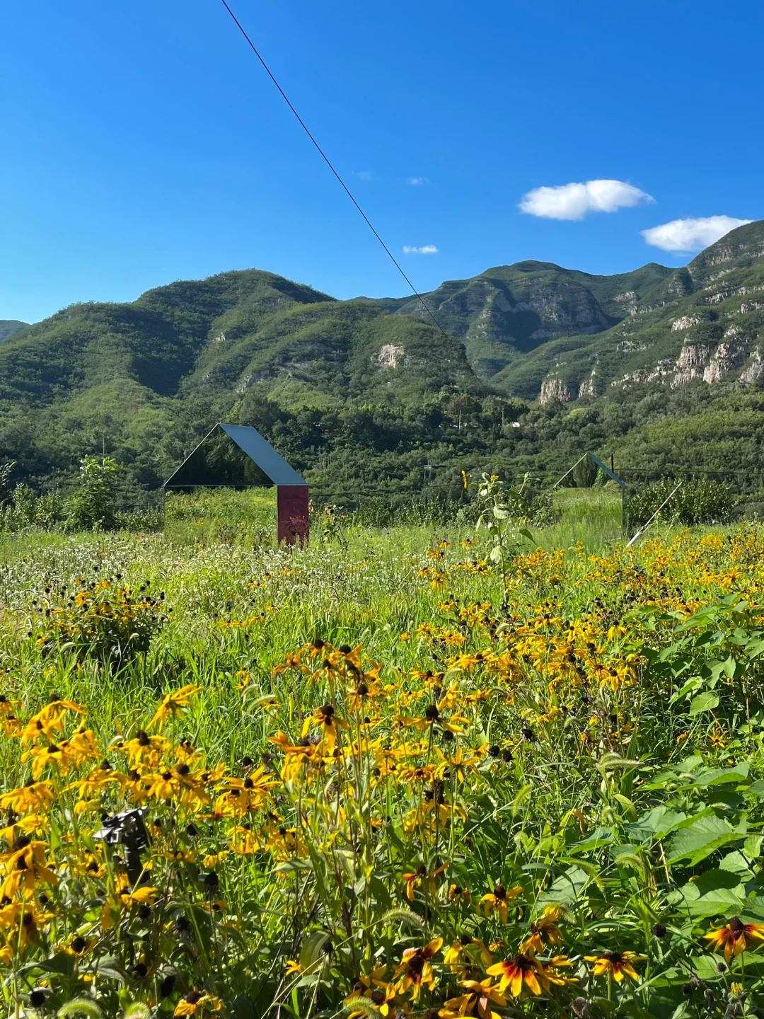 山西｜两天看遍罗马！长城！峡谷！红色文化