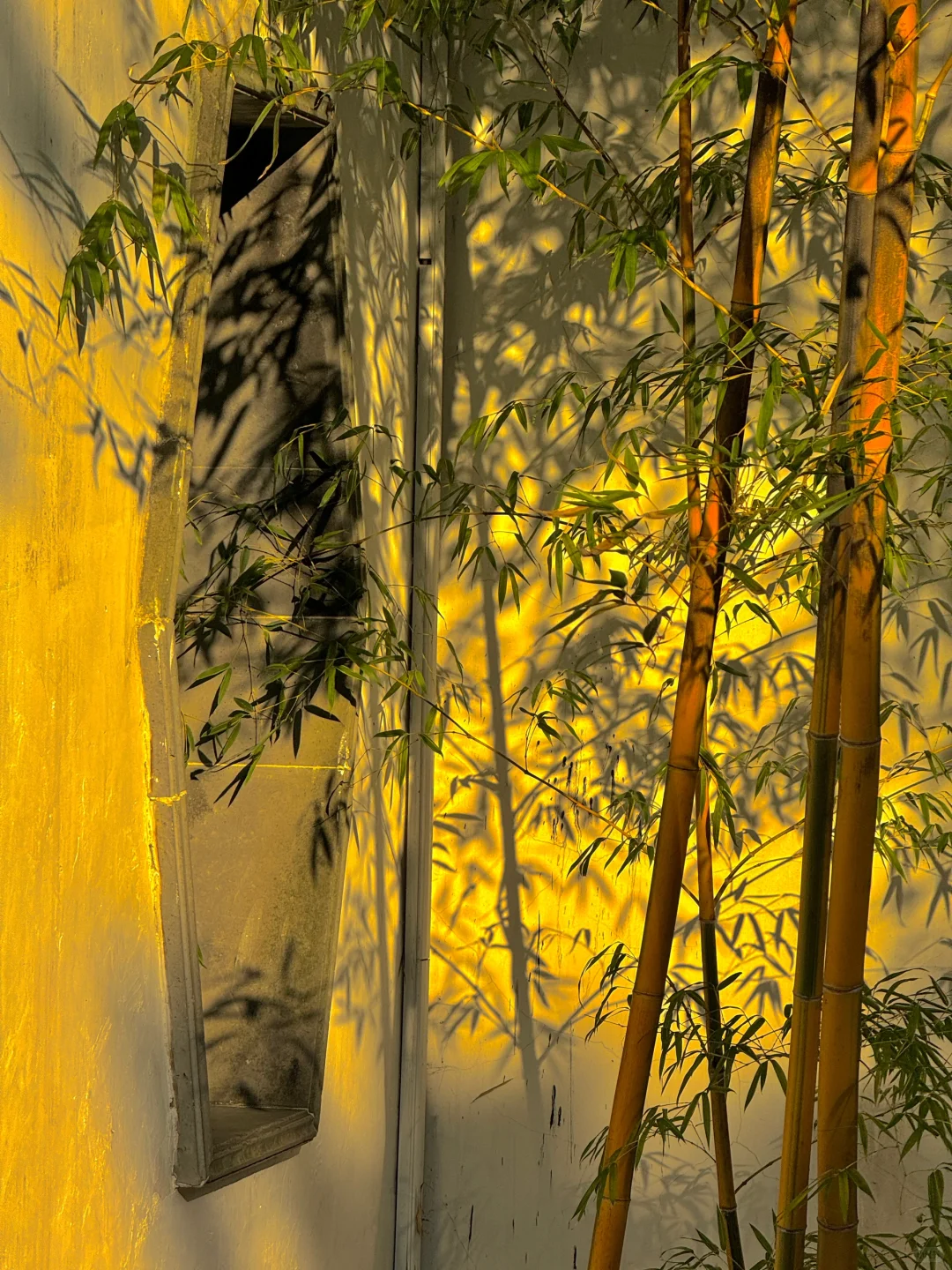 welcome to China|拙政园的封神Live