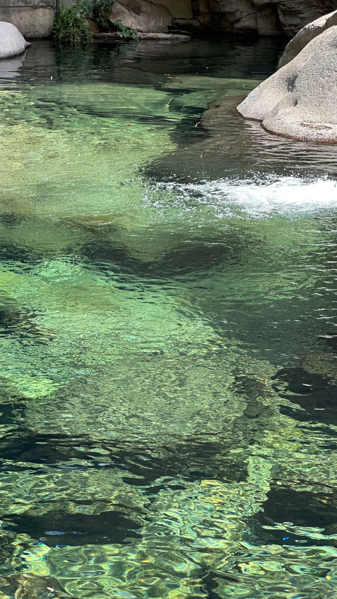 青岛夏天崂山玩水(无痛版)