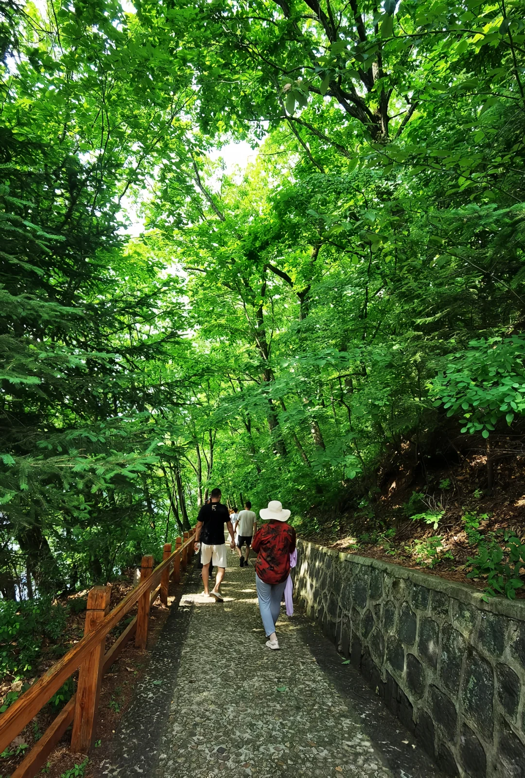 龙湾群景区旅游指南｜听劝‼️避暑胜地必冲