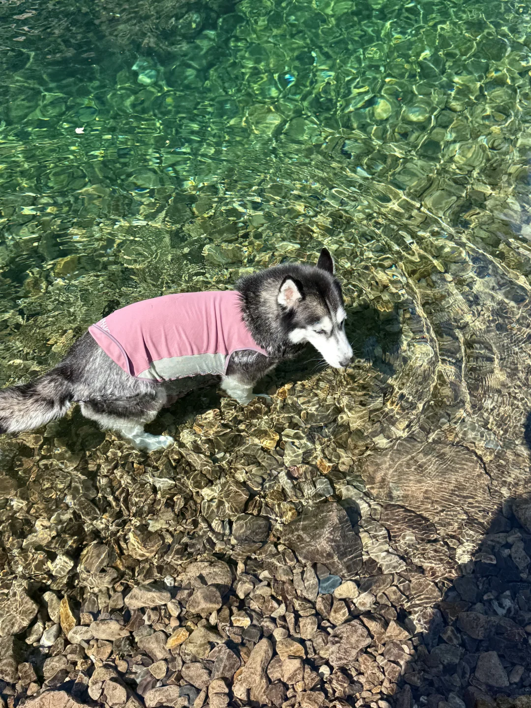 根本无法拒绝这么清透的玻璃水🥰