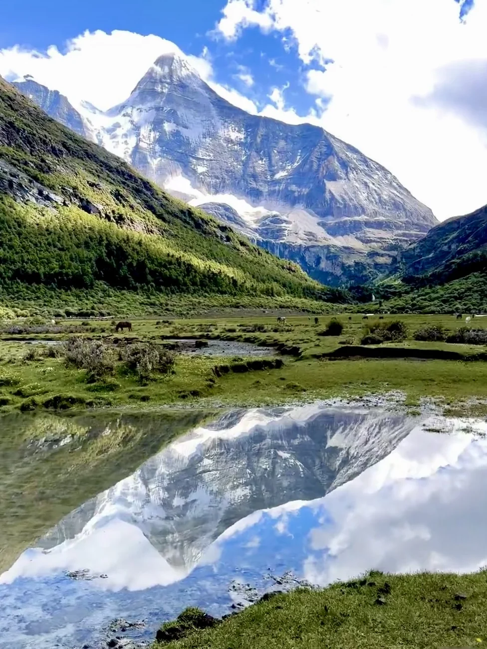 📍7-8月川西简直太美了！live图直出