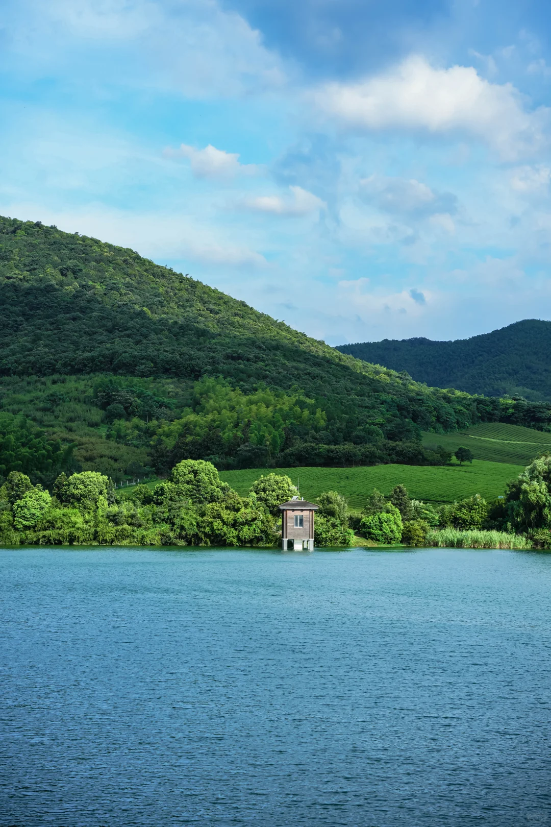 七月,去宜兴的山野间疗愈自己