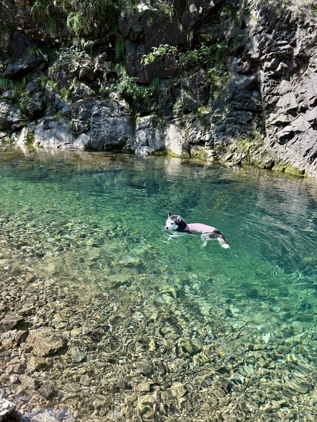 根本无法拒绝这么清透的玻璃水🥰