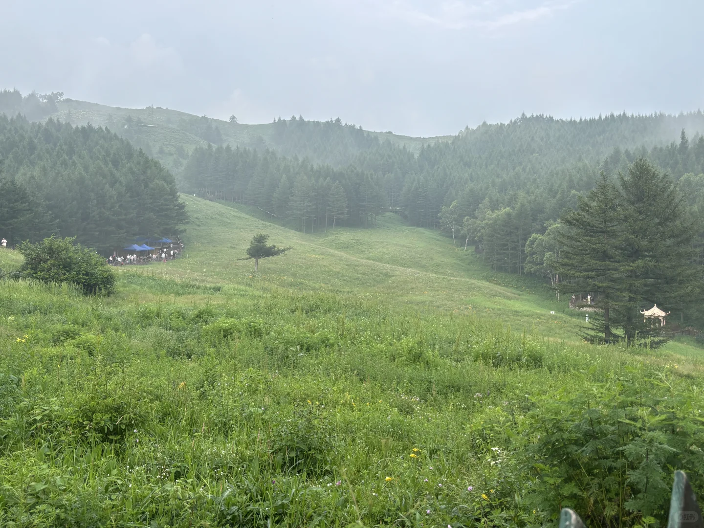 石家庄驼梁自驾游终极攻略
