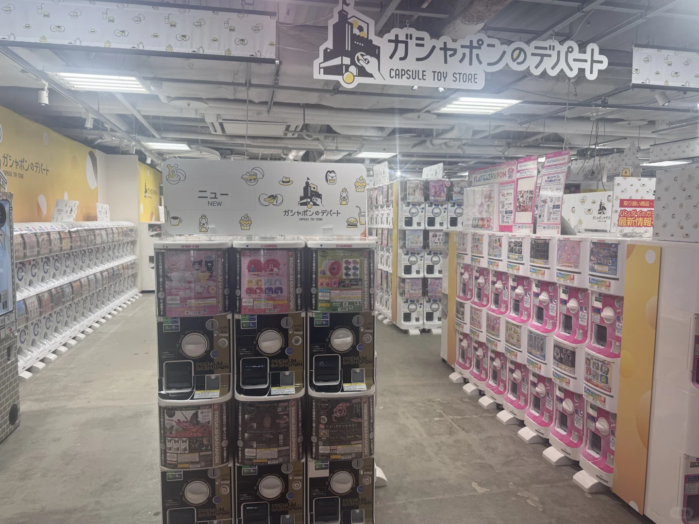 7.24爱达魔都号🚢--Day5新潟citywalk