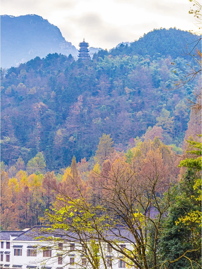 终于有人把九华山攻略讲清楚了！