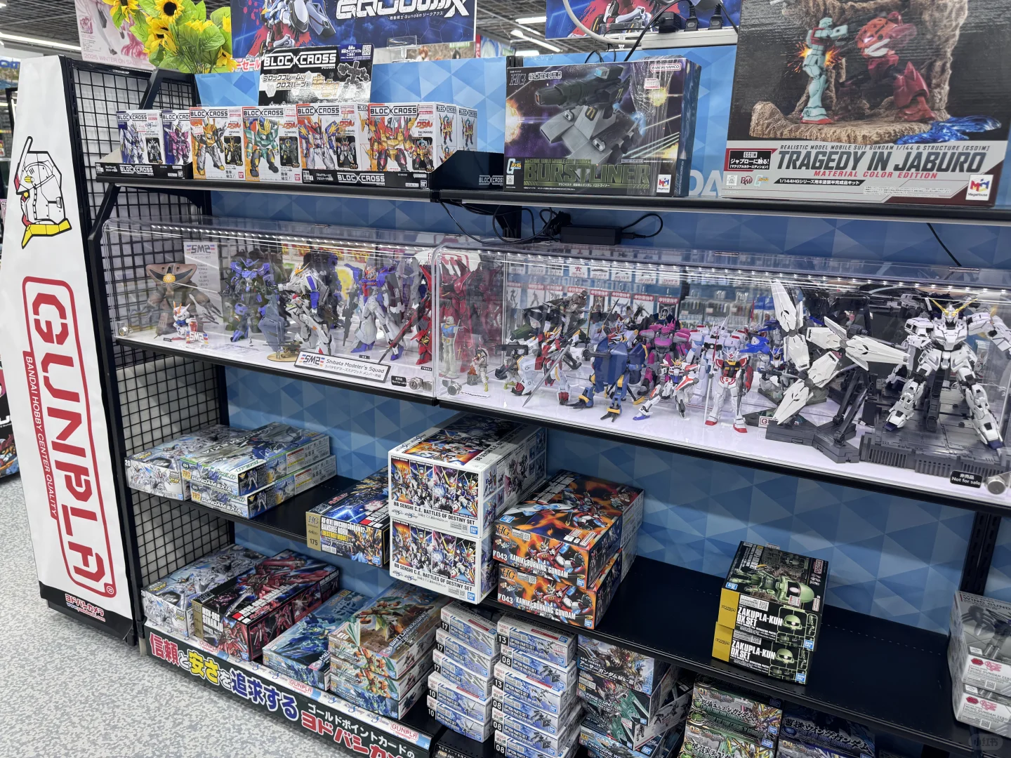 7.24爱达魔都号🚢--Day5新潟citywalk