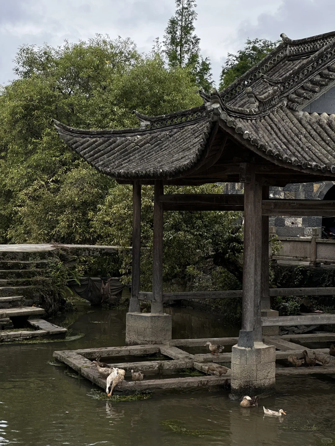 这么久了，还是觉得腾冲和顺古镇无法超越🍃