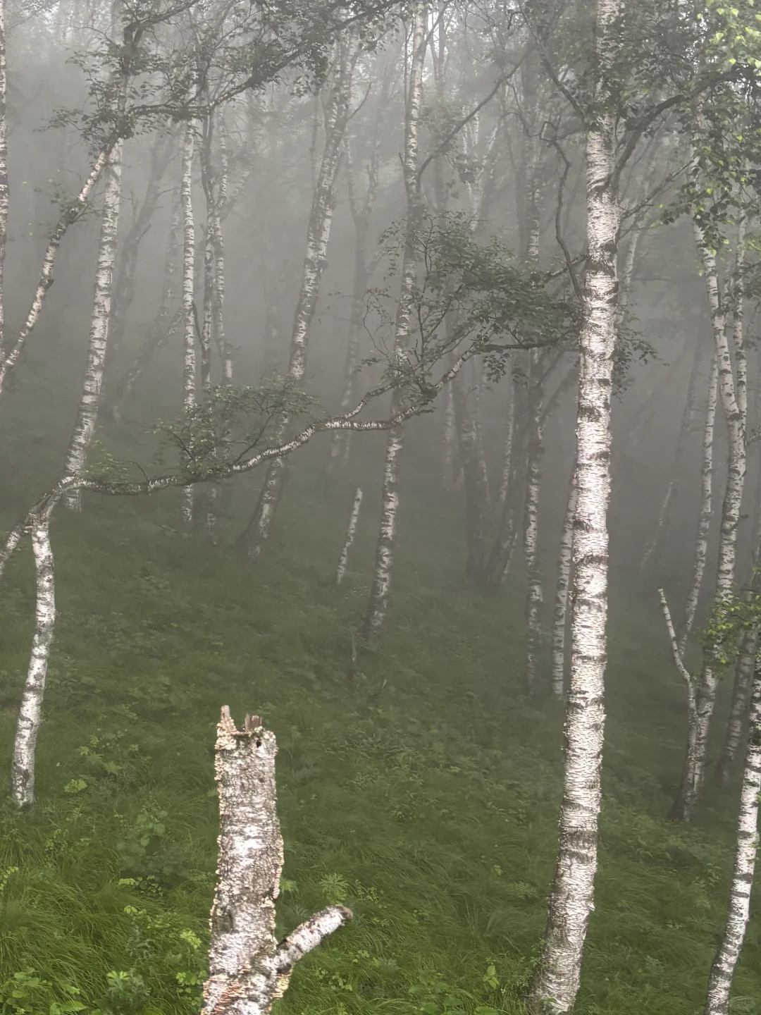 石家庄驼梁自驾游终极攻略