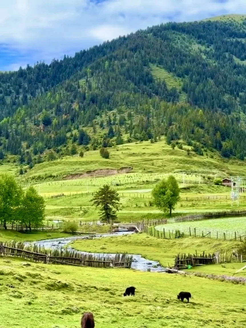 📍7-8月川西简直太美了！live图直出