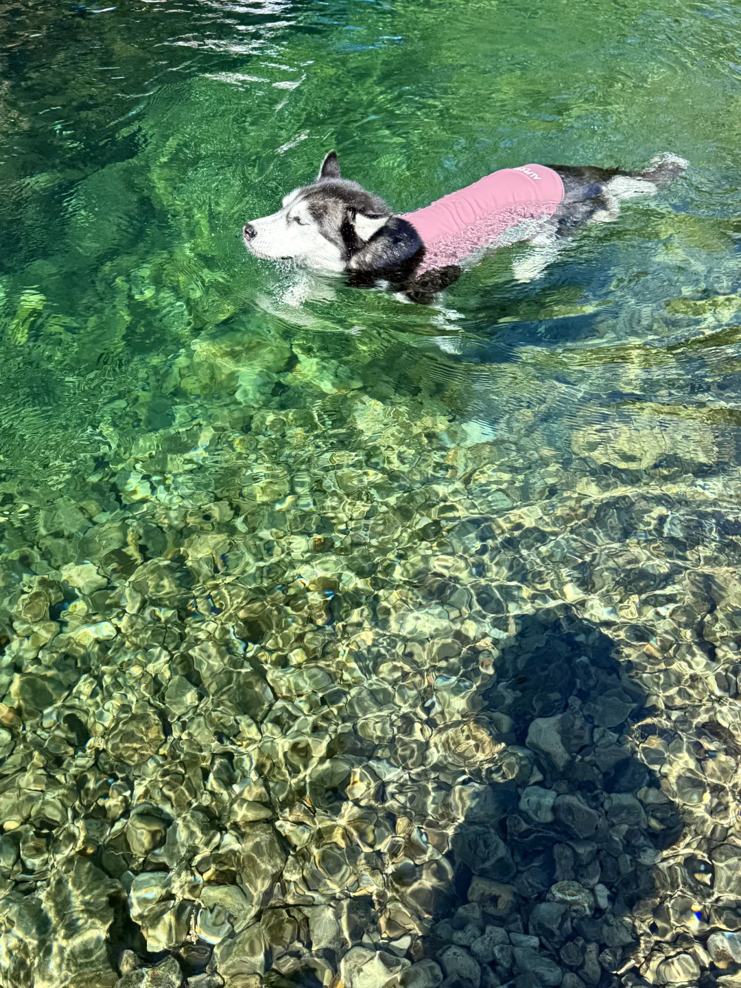 根本无法拒绝这么清透的玻璃水🥰