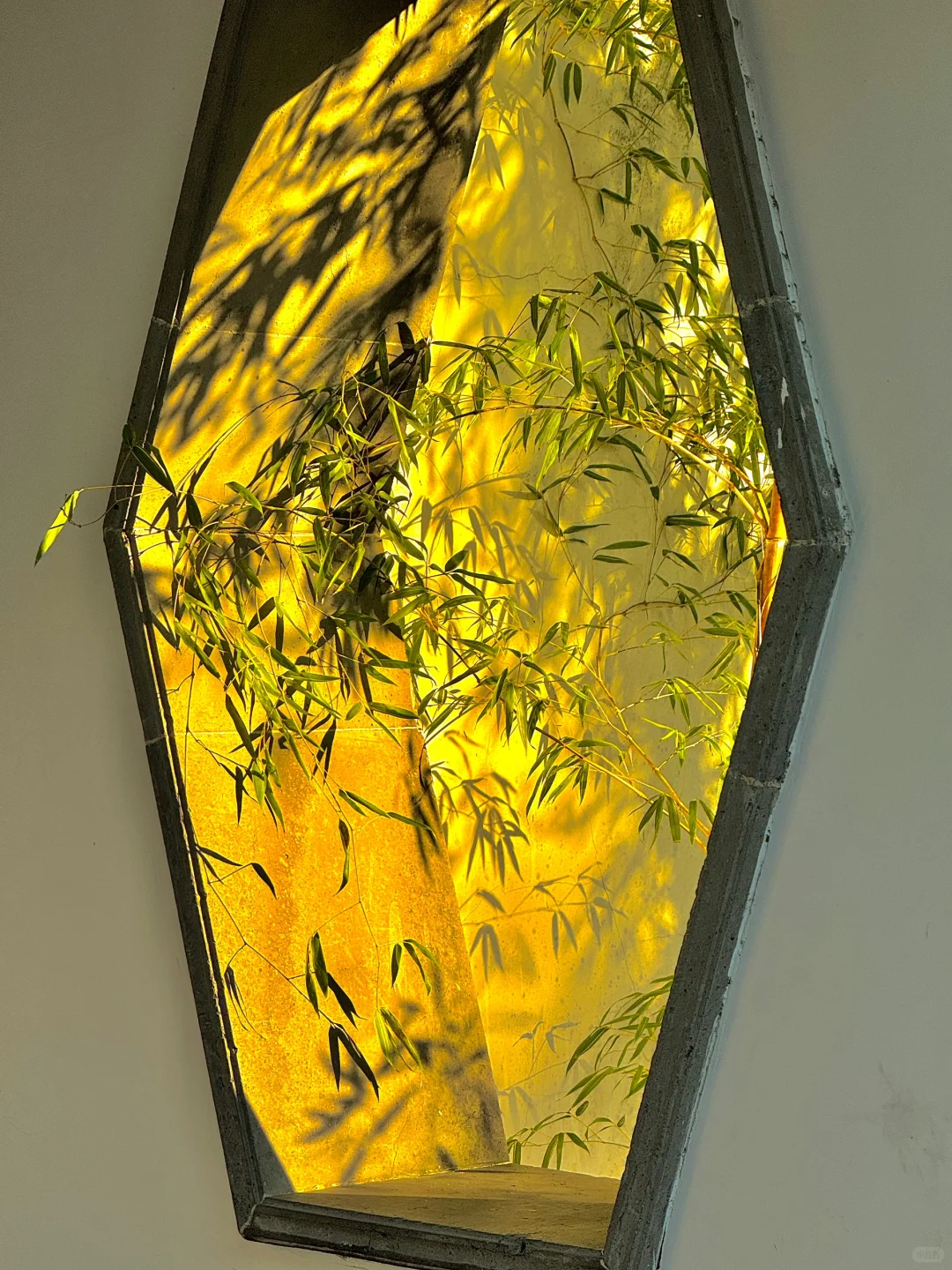 welcome to China|拙政园的封神Live