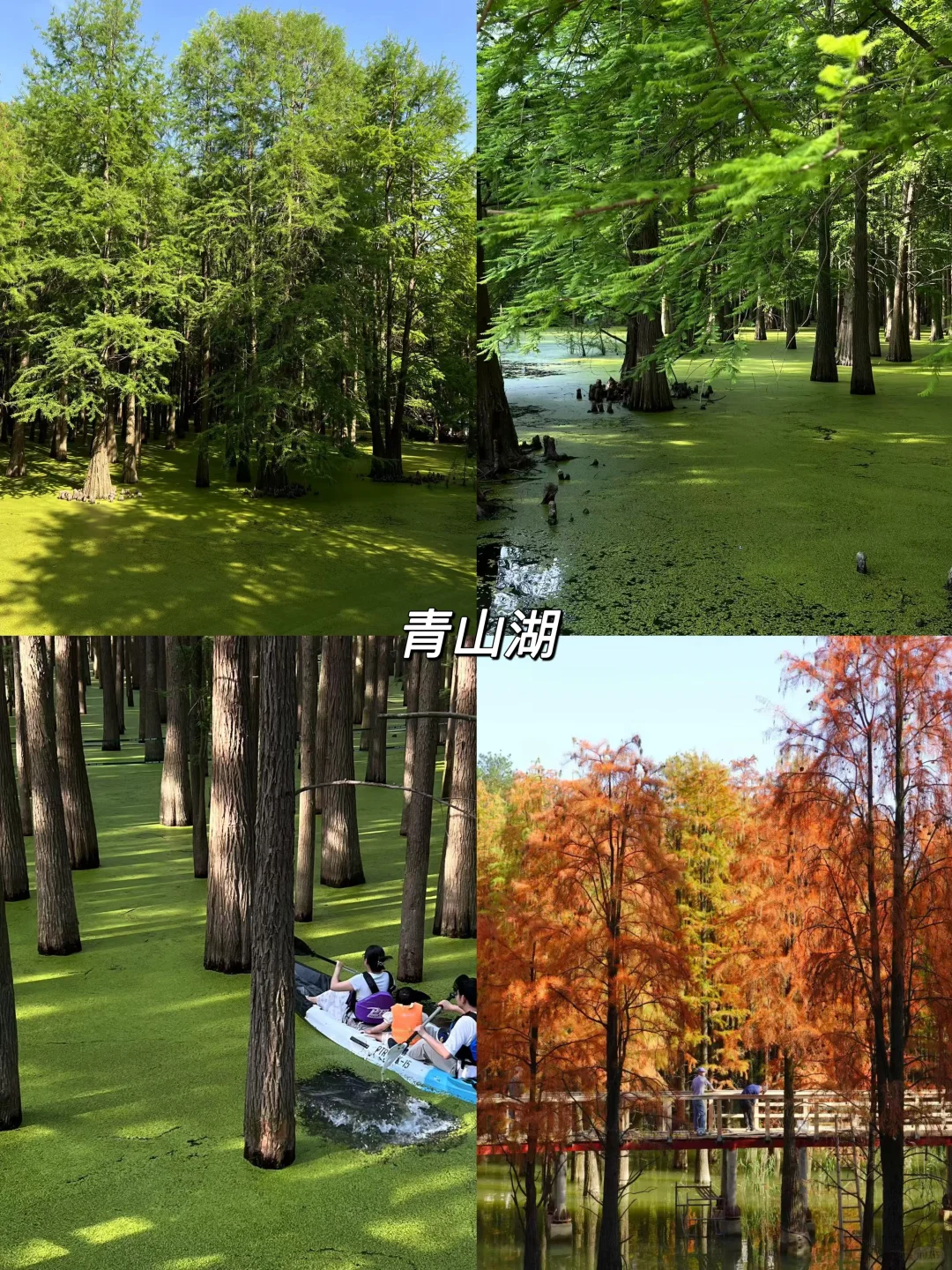 暑假来杭州一定不要错过这几个景点（附攻略）