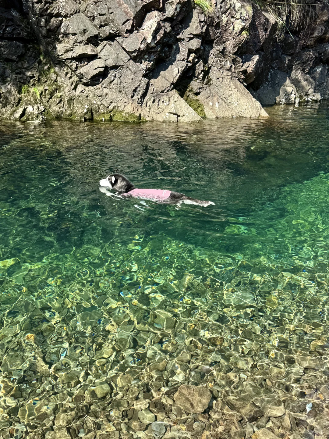 根本无法拒绝这么清透的玻璃水🥰