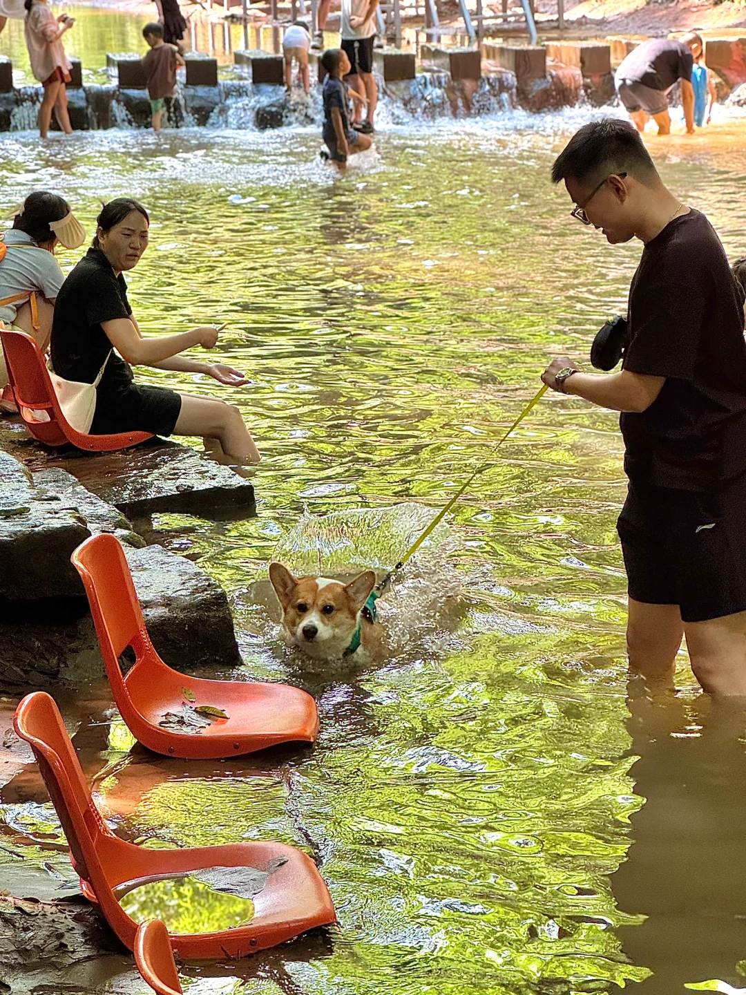 💨成都1h，带狗撒欢玩水的竹海秘境！