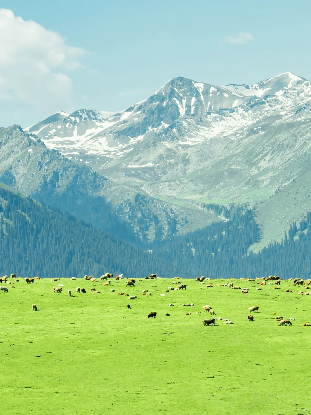 很多人喜欢的新疆组图🍃详细旅行攻略来了