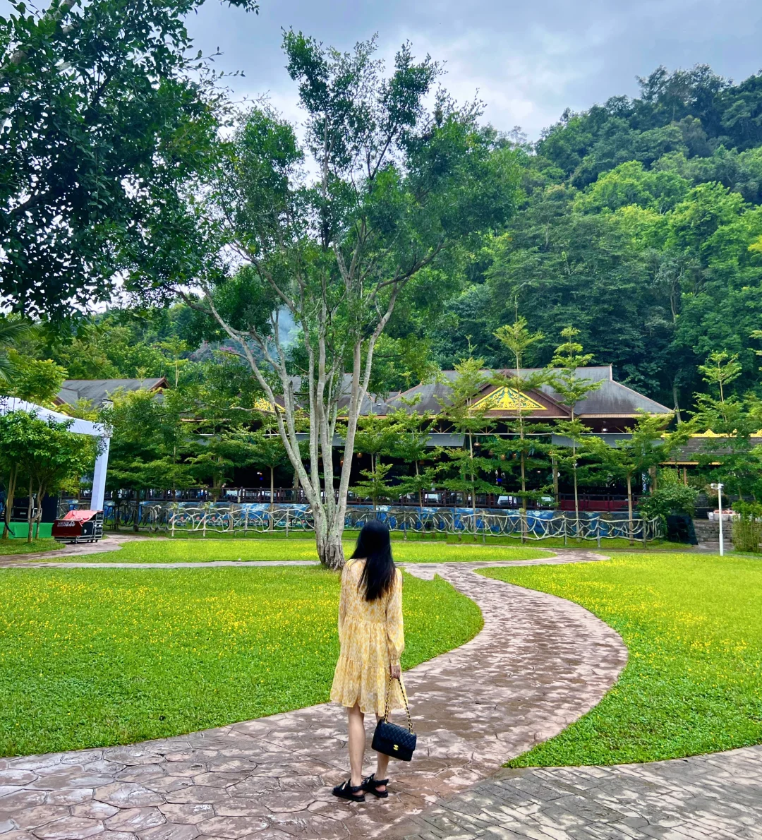 🐘西双版纳野象谷 | 看这一篇就够啦