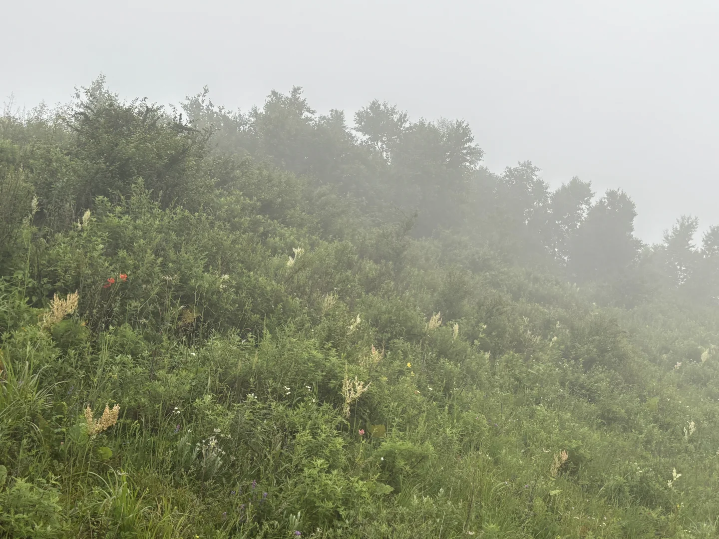 石家庄驼梁自驾游终极攻略