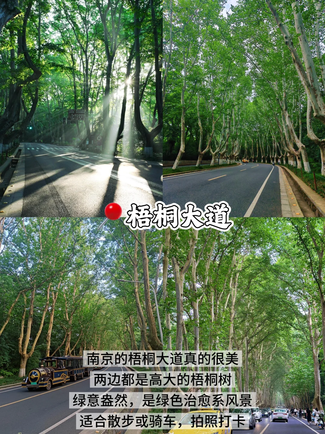 南京📍两天一夜｜不废腿版保姆级逛吃攻略‼️