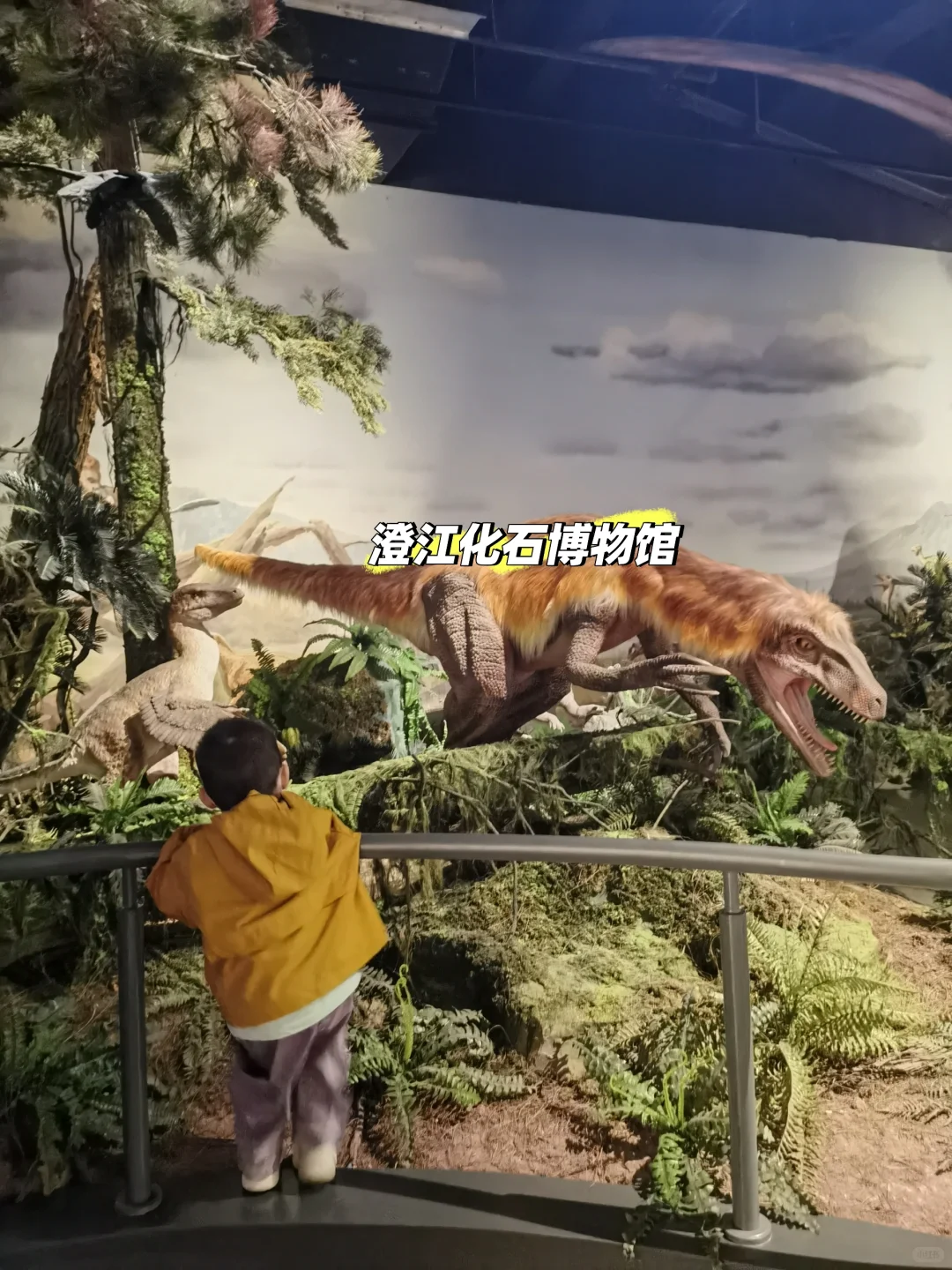 云南之行—玉溪（抚仙湖）