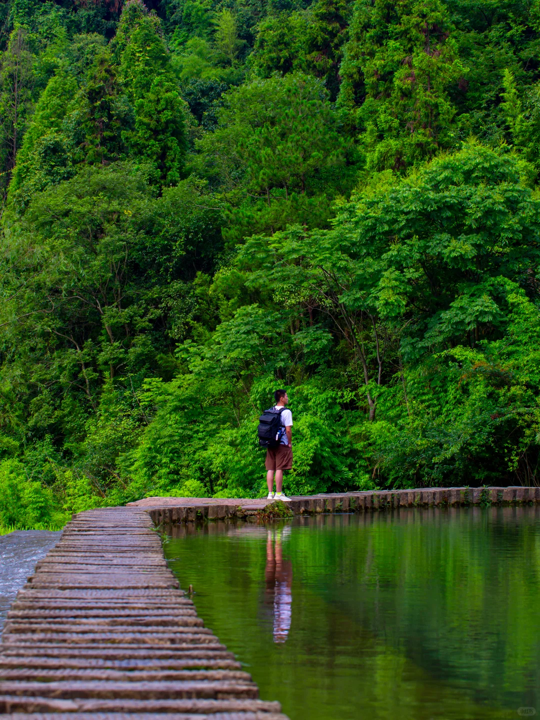 贵州贵阳｜喀斯特风貌｜山水盆景，亦画亦园