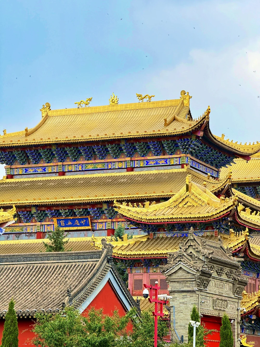 想不到呼和浩特人嘴真严,这么好逛也不宣传