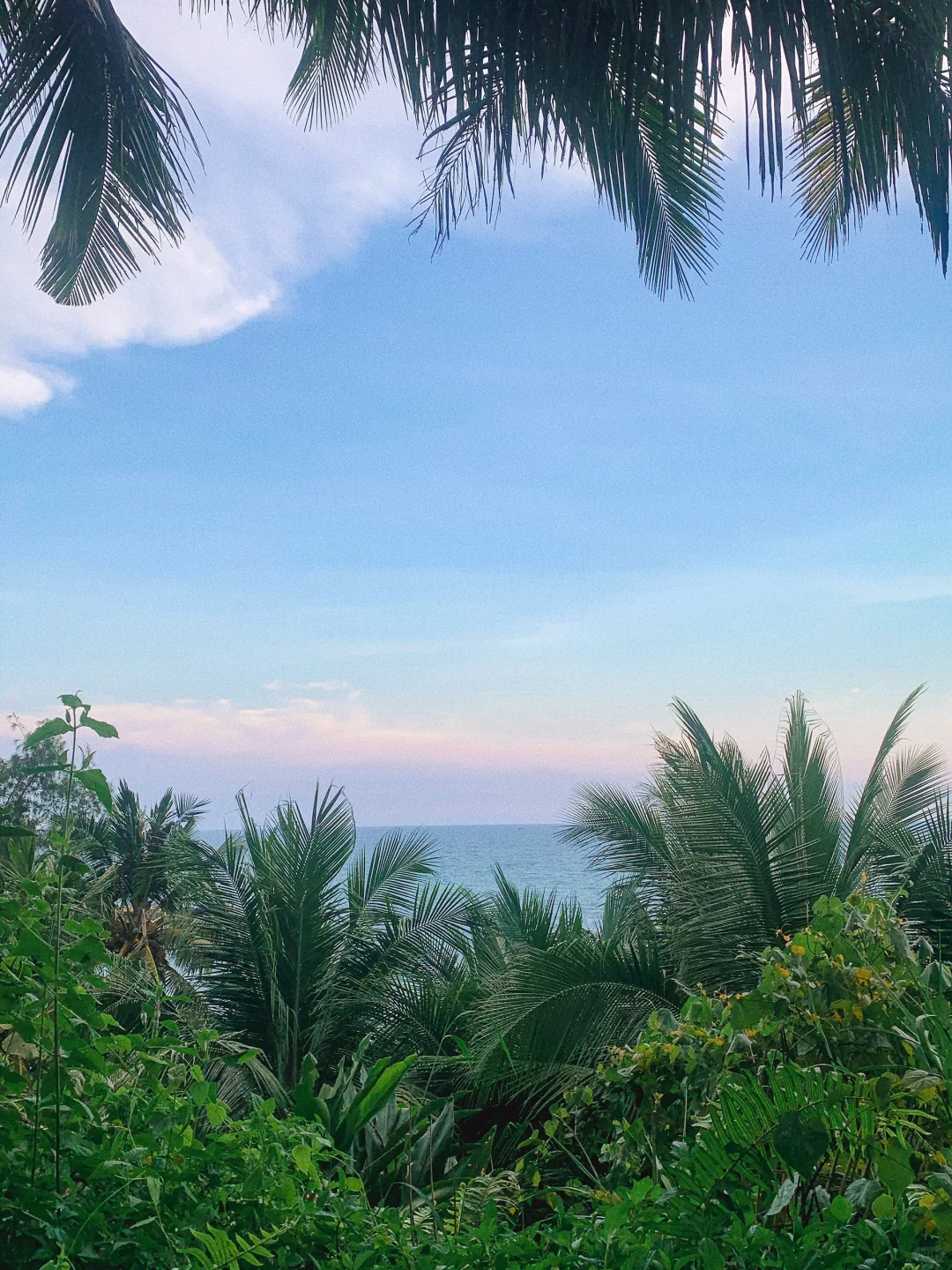 整个海南，都是我的度假区🌊