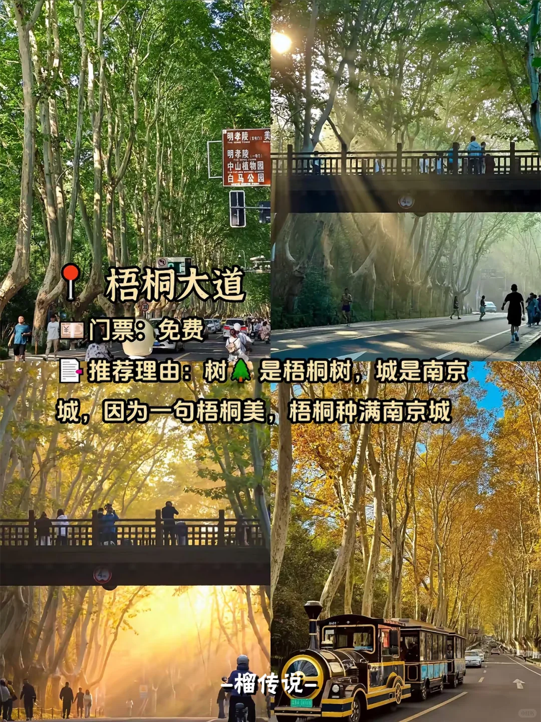 来南京必去的9大景点丨唯一缺点：太出片