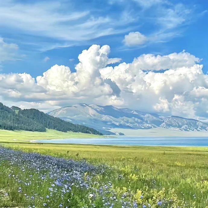 赛里木湖-𝗪𝗲𝗖𝗵𝗮𝘁背景图