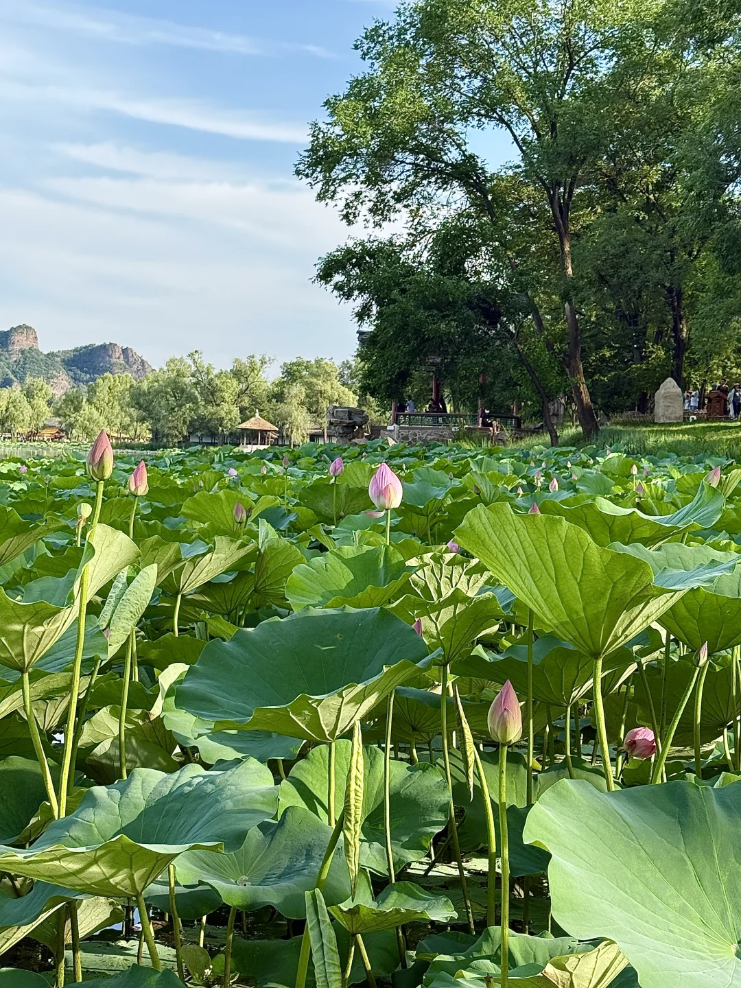 河北｜承德避暑山庄