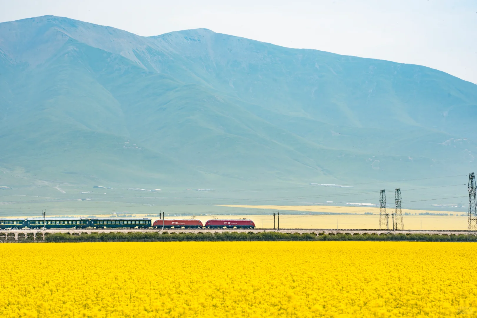 7月份最适合去的小众城市--门源🌼