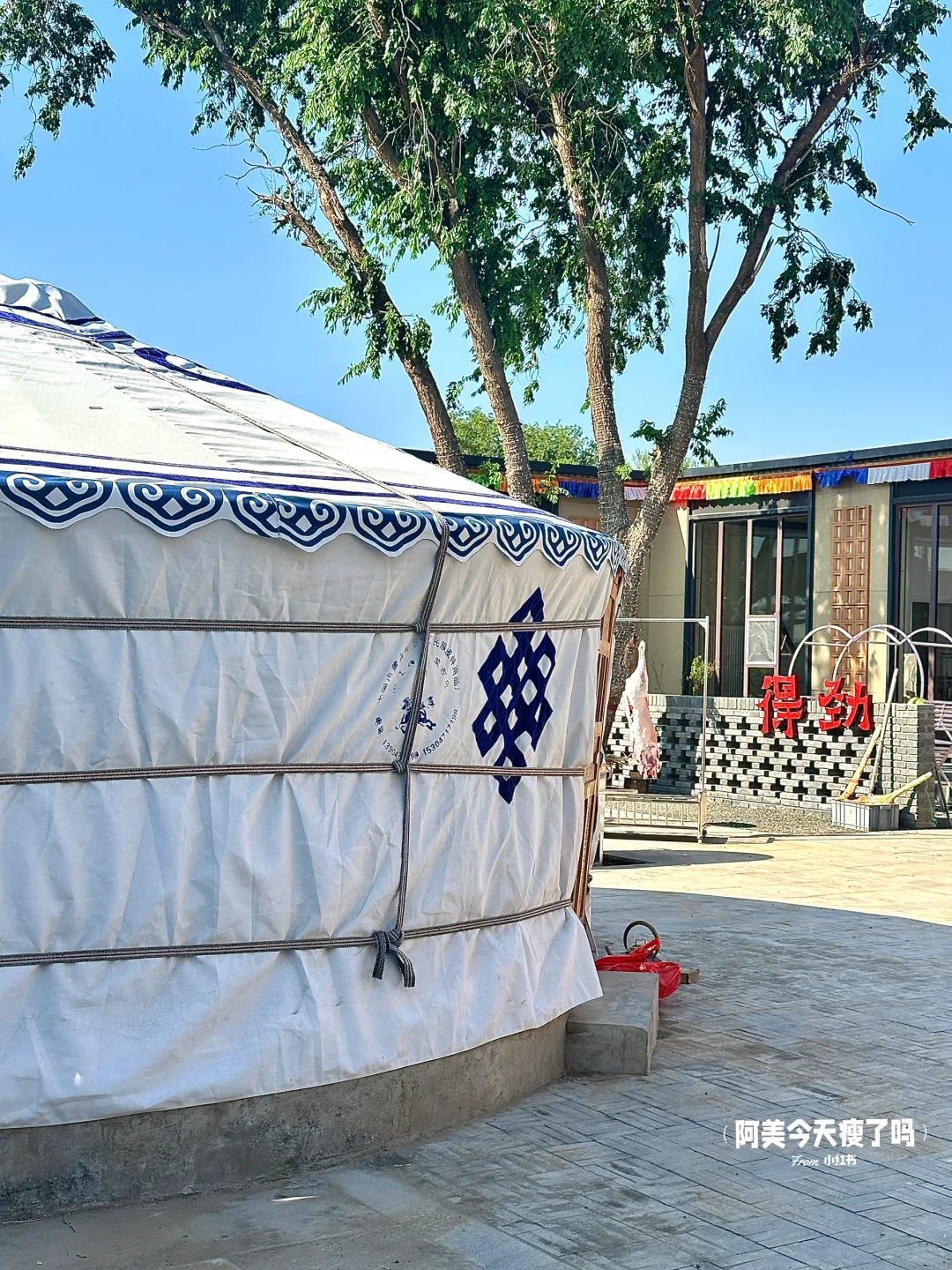 包头citywalk🚶超适合溜达的小众闲逛地⛲️🦮