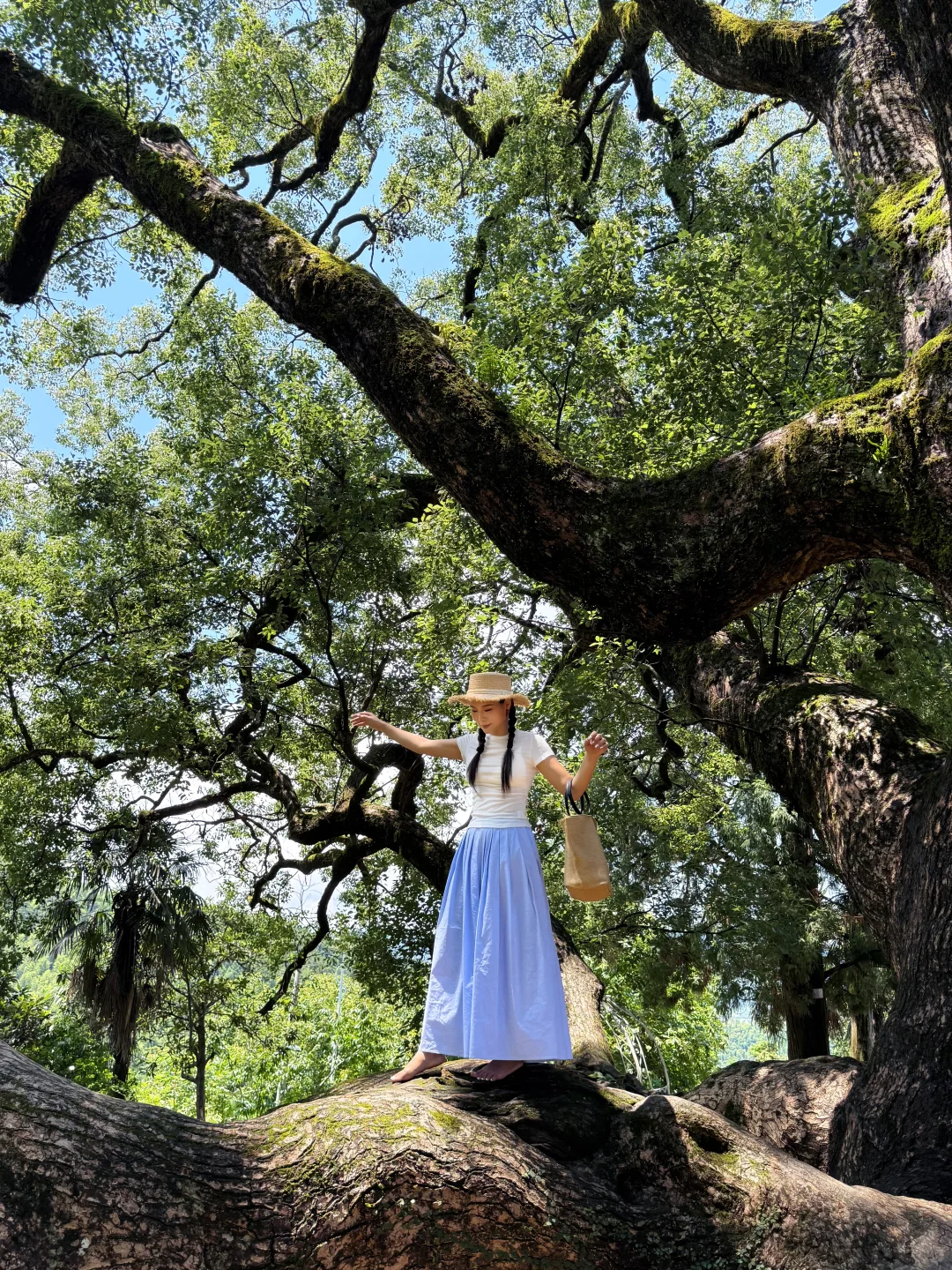 福建小众景区，超级美！