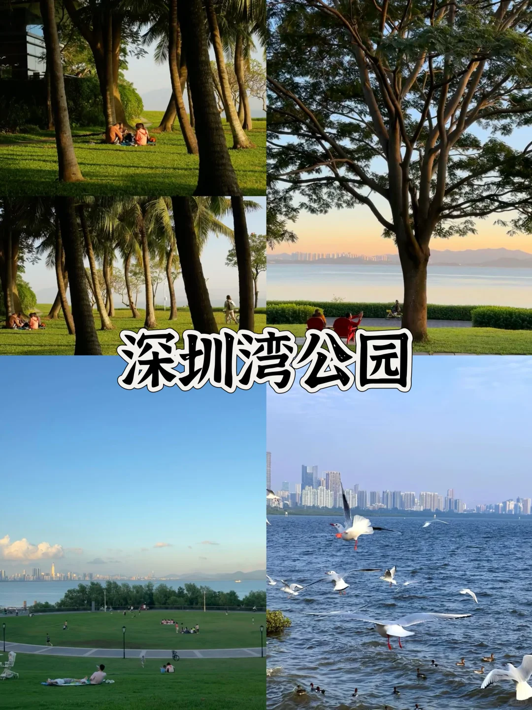 春节旅游🔥深圳4天3夜保姆级攻略(4)