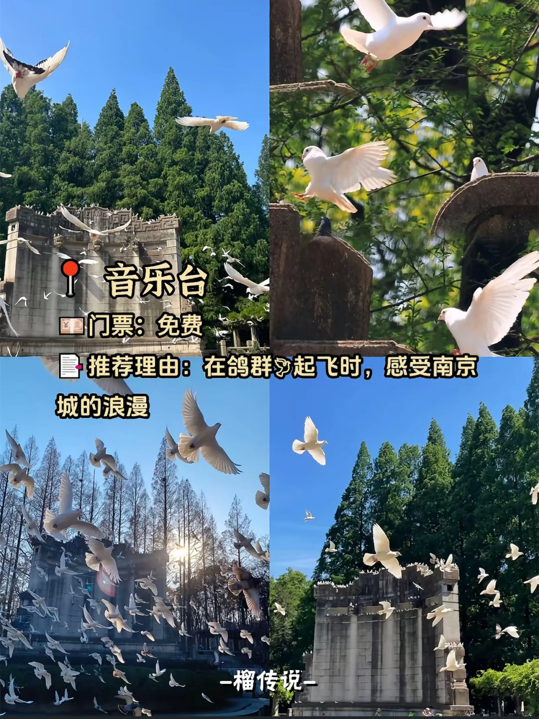 来南京必去的9大景点丨唯一缺点：太出片