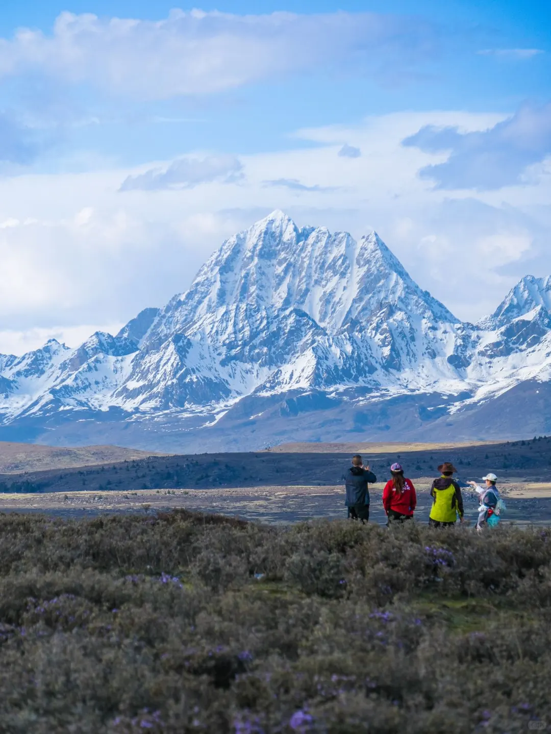 夏季的四姑娘山美成了一幅油画!!!live图