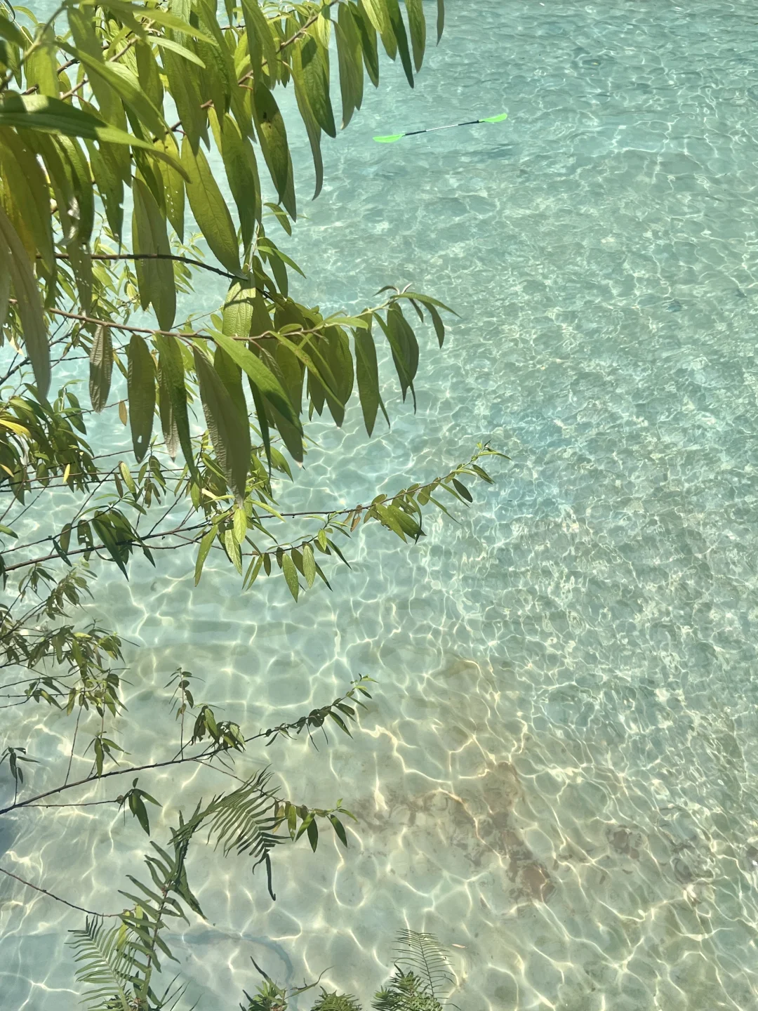 成都周边游｜被问爆“玻璃海”，全live图无滤镜