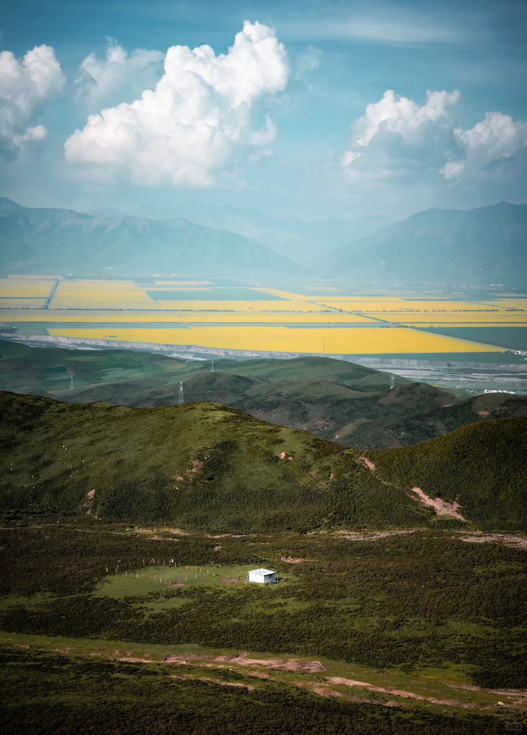 7月份最适合去的小众城市--门源🌼