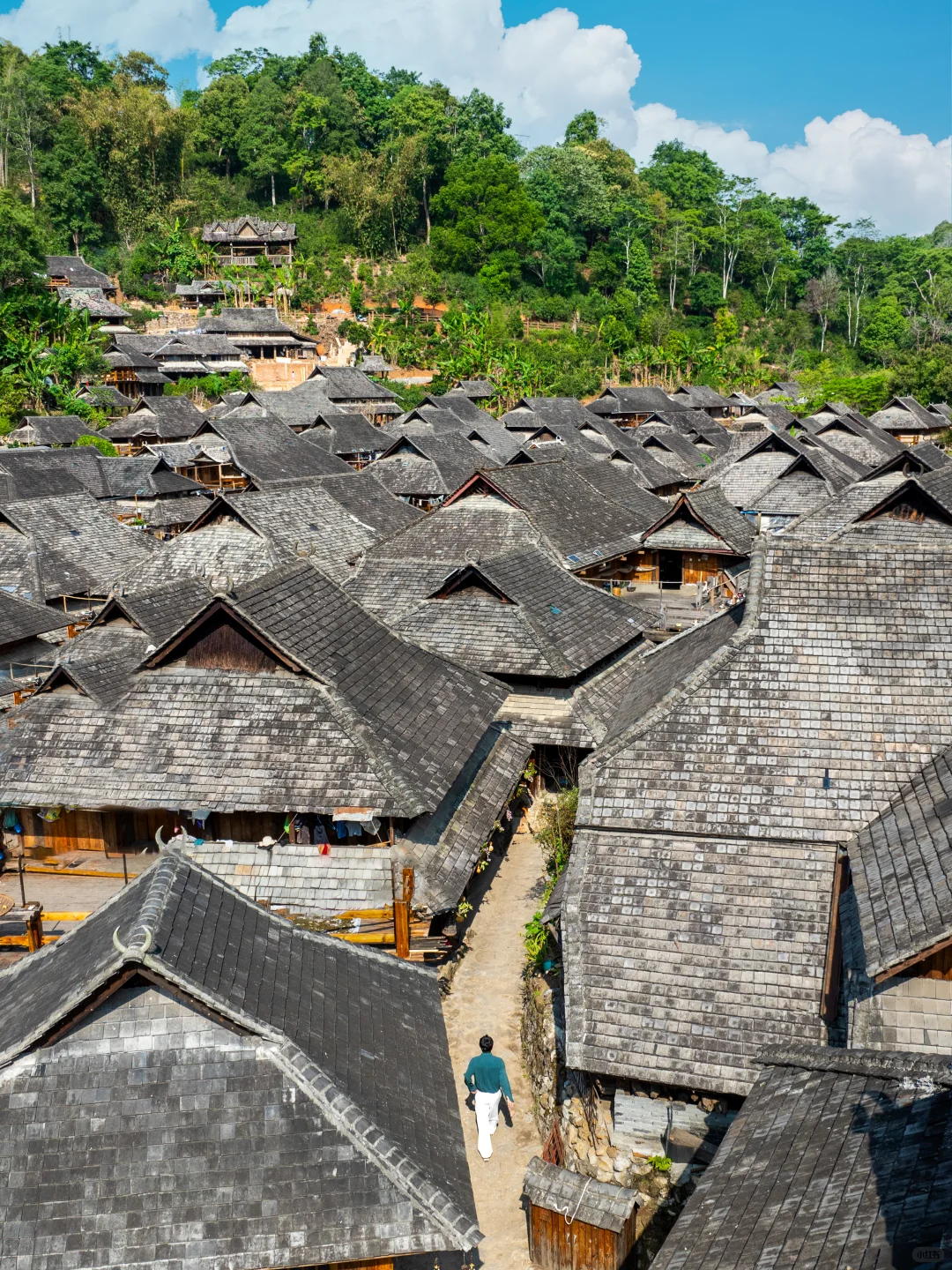 为了这18张图，我特意飞了一趟云南…