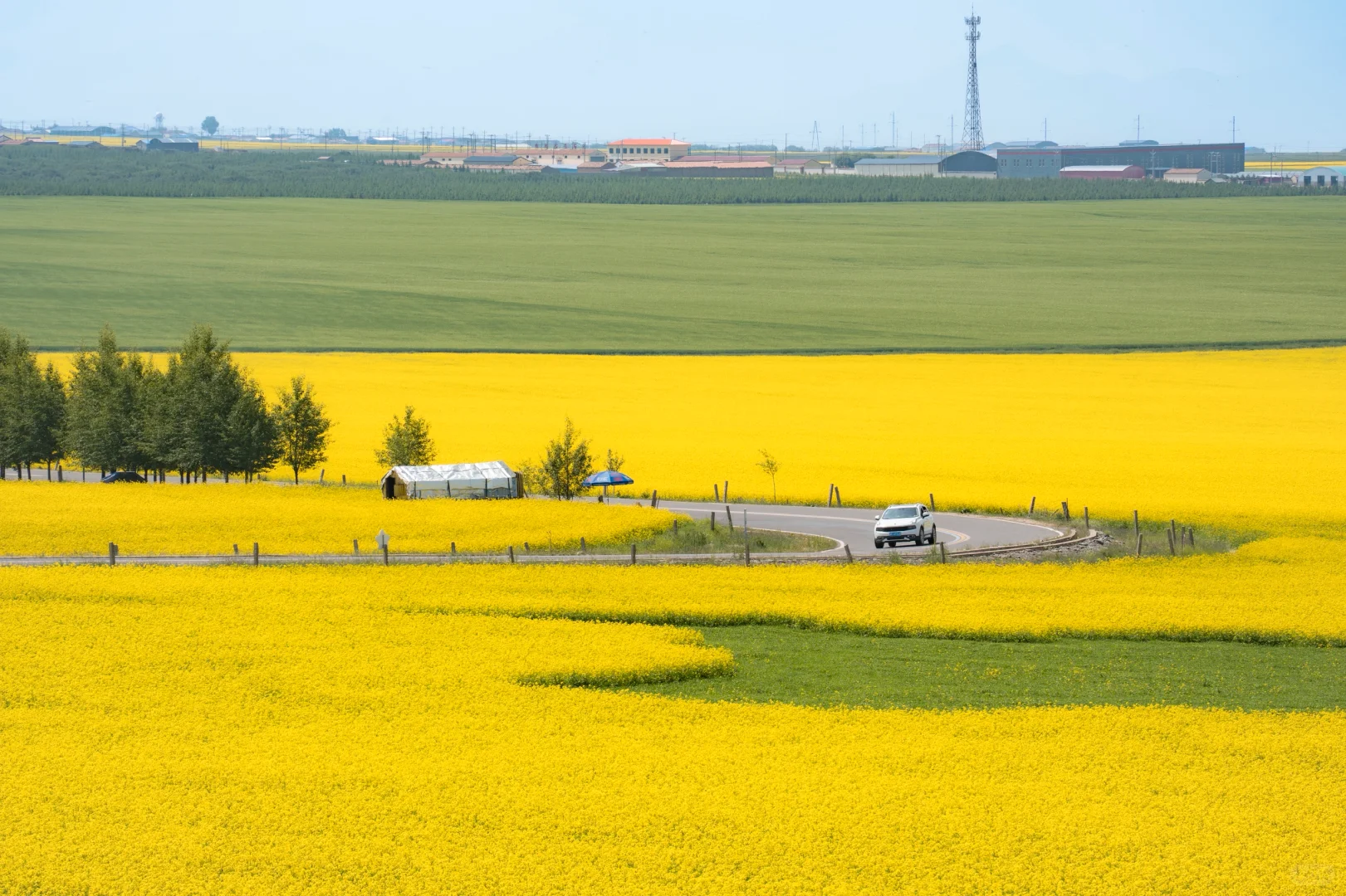 7月份最适合去的小众城市--门源🌼