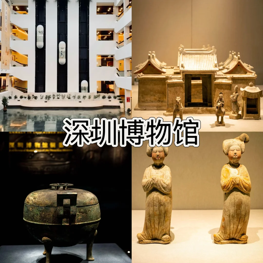 春节旅游🔥深圳4天3夜保姆级攻略(4)