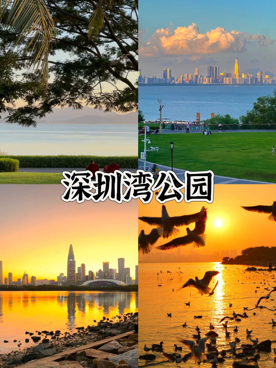 春节旅游🔥深圳4天3夜保姆级攻略(4)