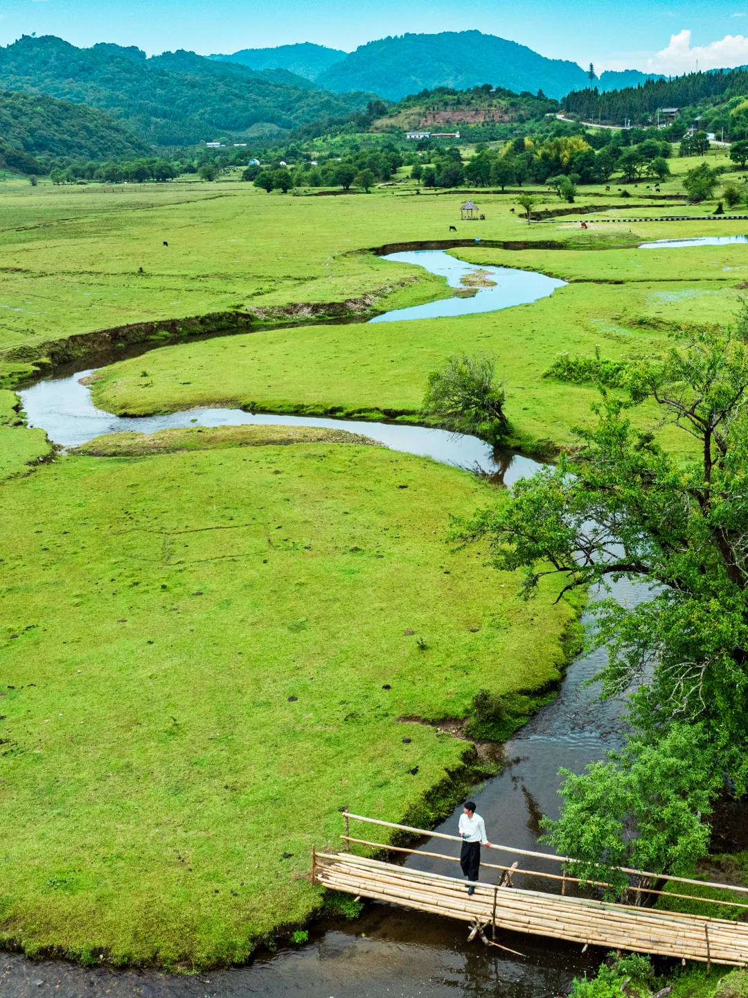为了这18张图，我特意飞了一趟云南…