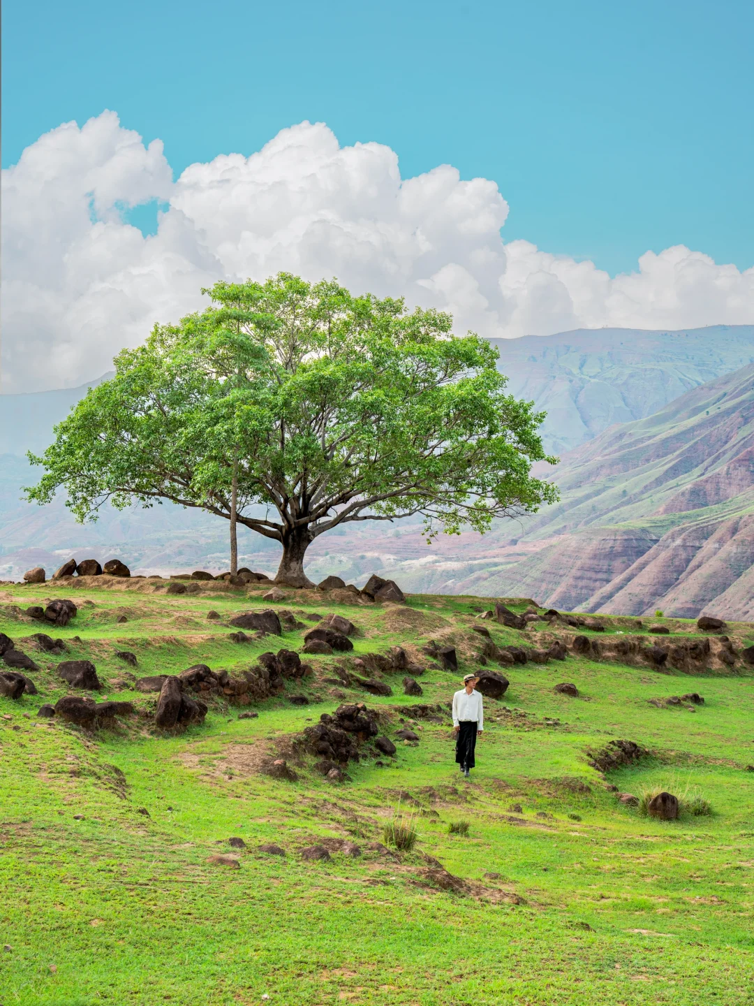 为了这18张图，我特意飞了一趟云南…
