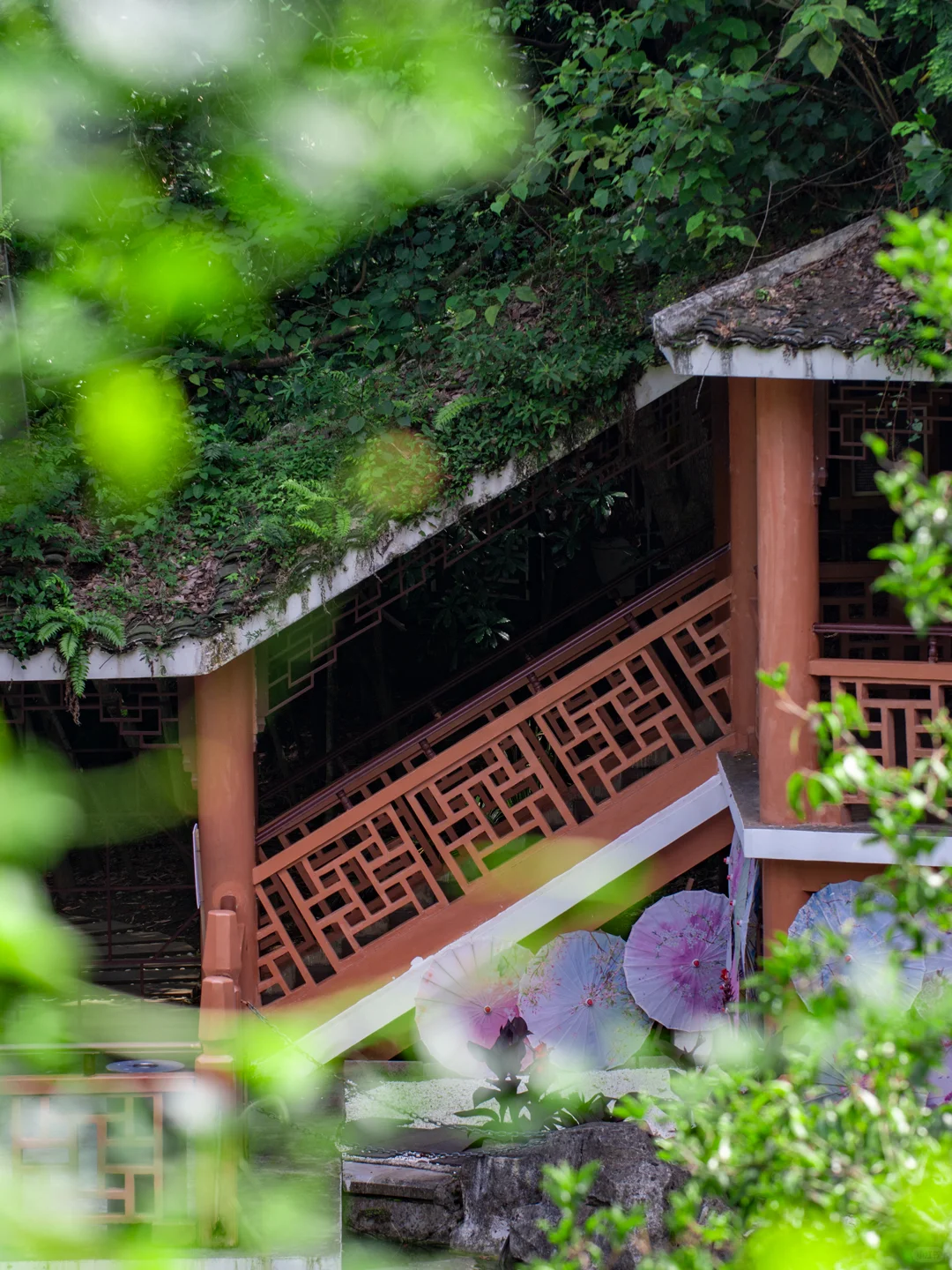 贵州贵阳｜喀斯特风貌｜山水盆景，亦画亦园